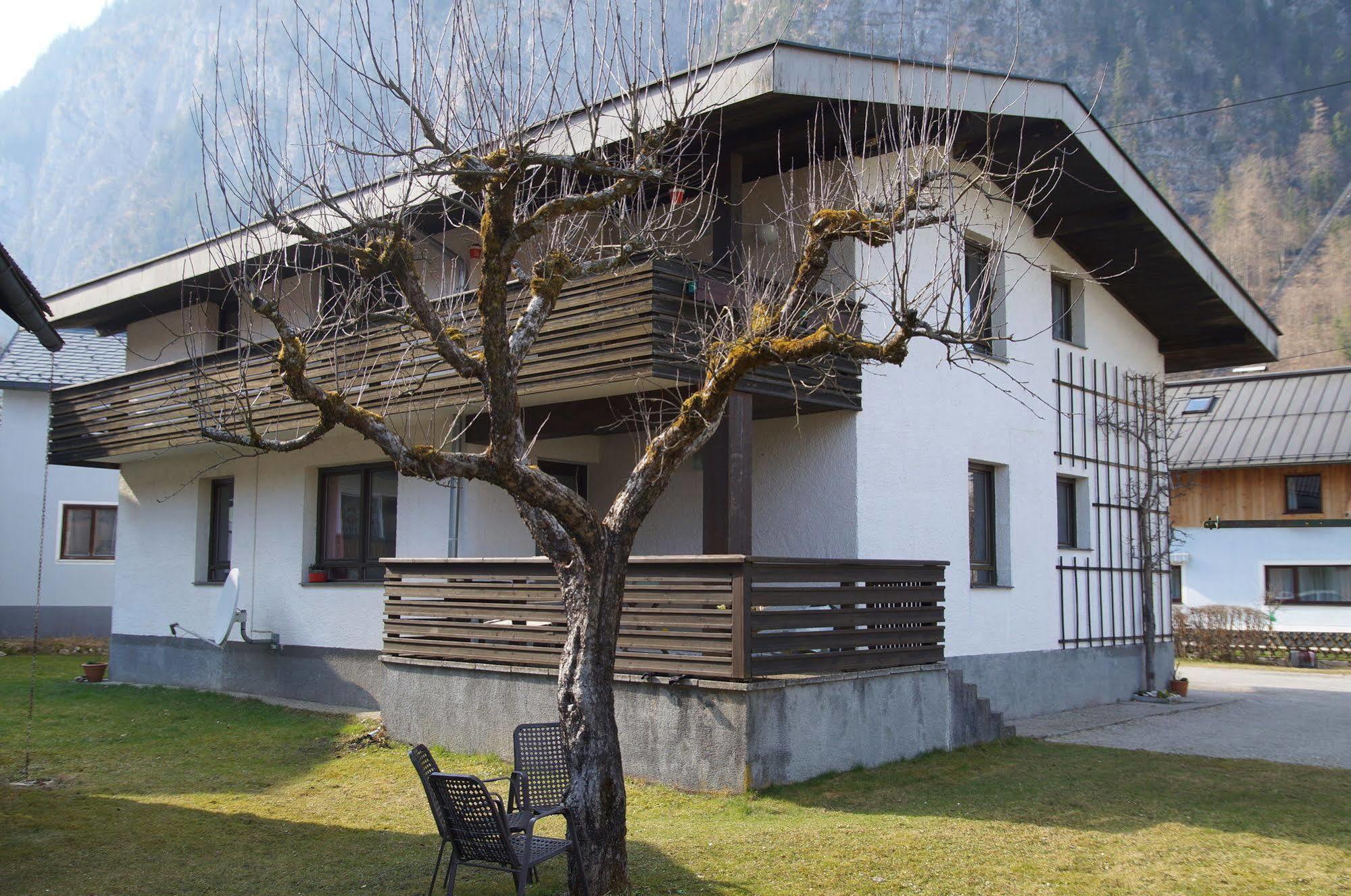 W & S Executive Apartments - Hallstatt I Екстер'єр фото